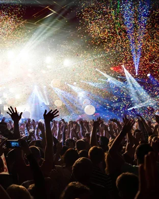 RnB Mimosa Festival