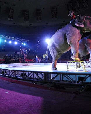 Paranormal Cirque Nightmare event