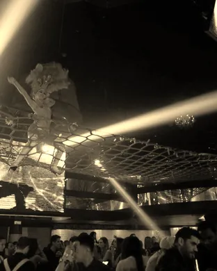 Dieselboy