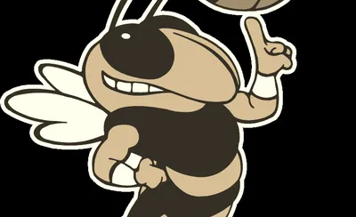 Georgia Tech Yellow Jackets