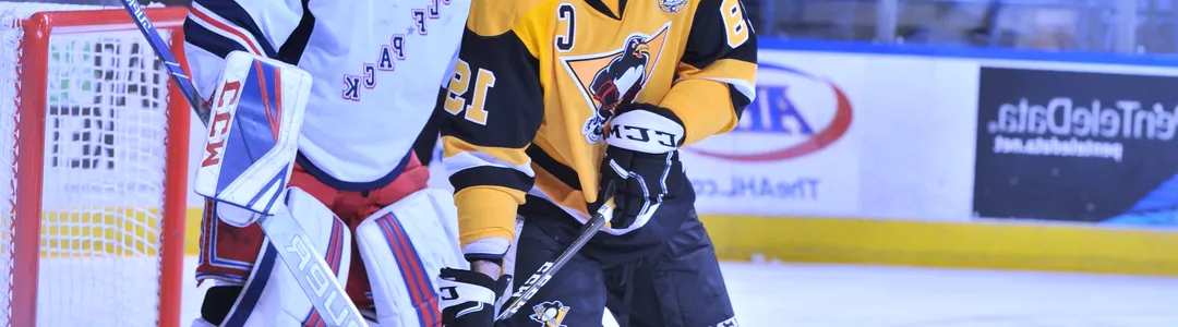 Hartford Wolf Pack