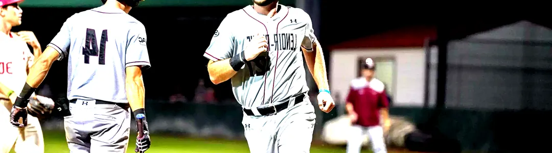 Lenoir-Rhyne Bears