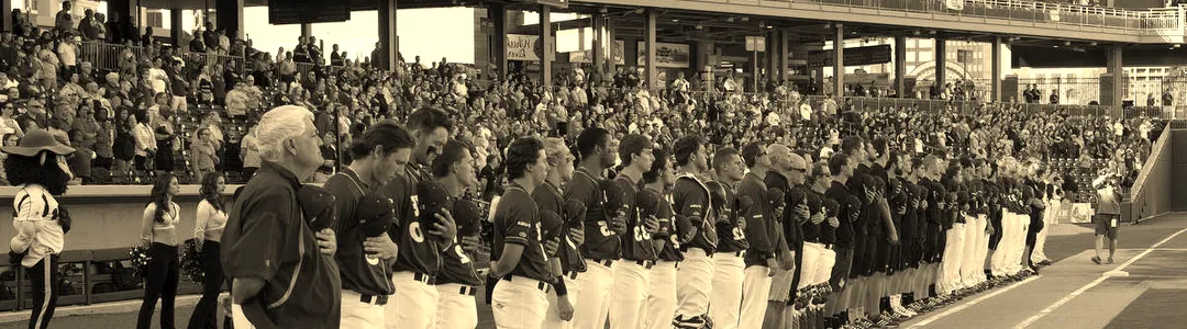 Charlotte 49ers Baseball