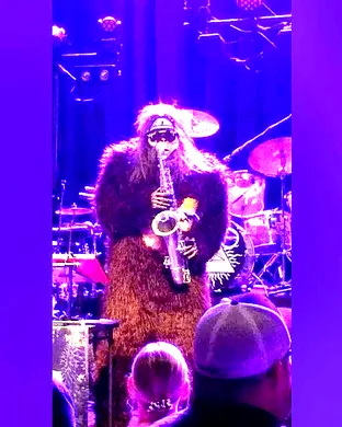 Saxsquatch