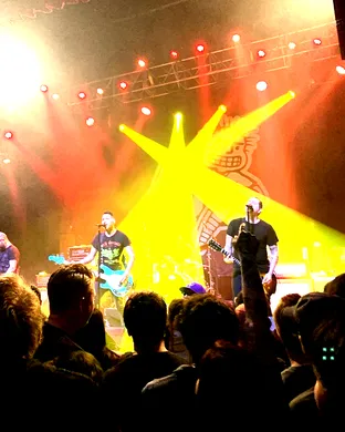 Live concert by Teenage Bottlerocket