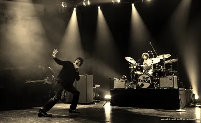 The Kooks