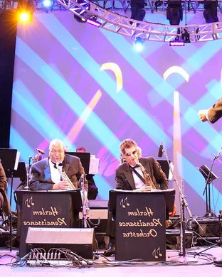 The Renaissance Orchestra