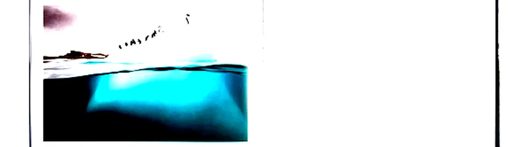 Two Worlds - Above and Below the Sea