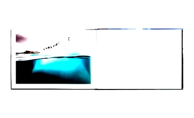 Two Worlds - Above and Below the Sea